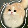chau_tinh_hoann