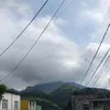 brunin_7__