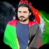 hasan313348