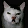 kitler660
