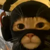 zachseco