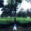 sepuluh052009