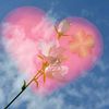 lany7107