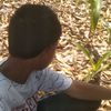 rendi.juliansyah31