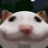 not_popcat643