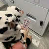 nhuxuancutii