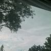 apple.user4972255