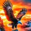 abomaca.alsharawi