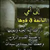 user31028288390273
