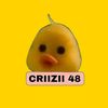 criizzi.48