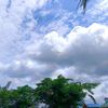 rozell_aaa