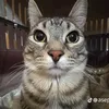 sasha_klusun