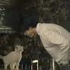 btshope6
