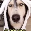 dathehuoc