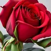 user1433206196591