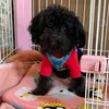 ronron04100924