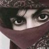 qais.lioon