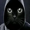 user458105699