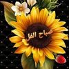 user7166332346097