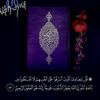 shahd.amr132
