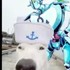 b.sn.tc.k9