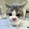 user1436789040