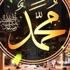 amadin407