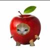 marcelu_gptkd03