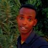 dalmaseeye2