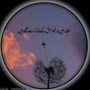 rai.shoaib.raisho