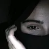 jin.sh8