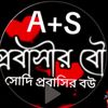shakiba4534