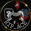 rip_ace1233