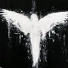 kseshaz3