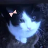 f4nt4h0lic_p3rson