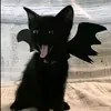 adamekbananek67