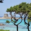 pierpaolo.testoni