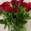 ali.naser054