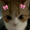 keiadry6