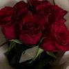 omer_omr63