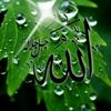 user2869113152913
