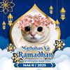 user4337612920830