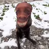 tuananha_10