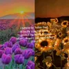 maribethnicol118