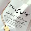 mushtaqkhan8014