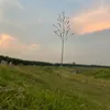 thin_h0