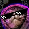 nay_0343