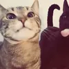 6a3sieucutethcsnguyendu
