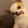 baolinhsucte