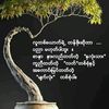user50437207695880